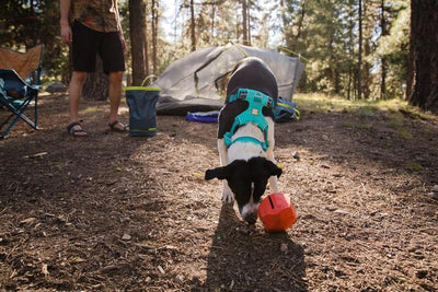 Ruffwear Front Range™ Padded Dog Harness (Purple Sage) - Good Dog People™