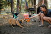 Ruffwear Front Range™ Padded Dog Harness (Red Clay) - Good Dog People™