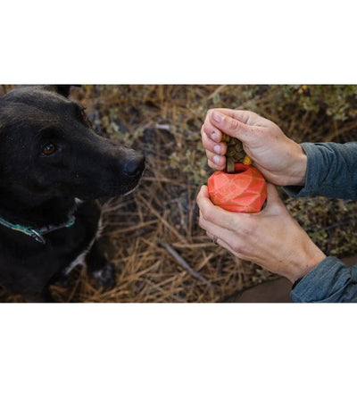 Ruffwear Gnawt-a-Cone™ Natural Rubber Treat Dispenser Throw Dog Toy (Lichen Green) - Good Dog People™