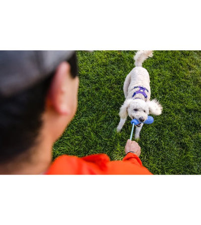 Ruffwear Gourdo™ Interactive Rubber Throw Dog Toy (Heliotrope Purple) - Good Dog People™