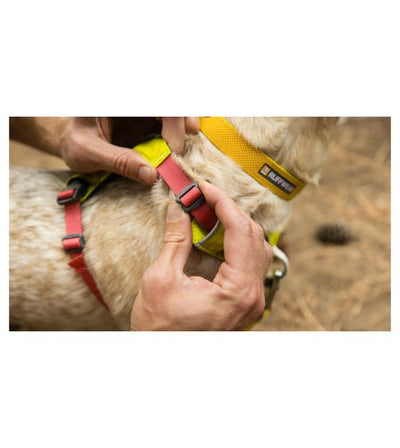 Ruffwear Hi & Light™ Lightweight Dog Harness (Lichen Green) - Good Dog People™