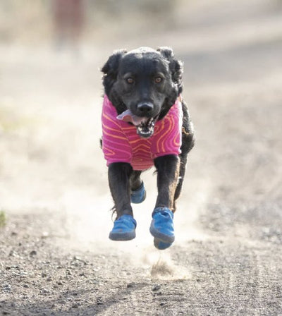 Ruffwear Hi & Light™ Trail Dog Shoes (River Rock Green) - Good Dog People™