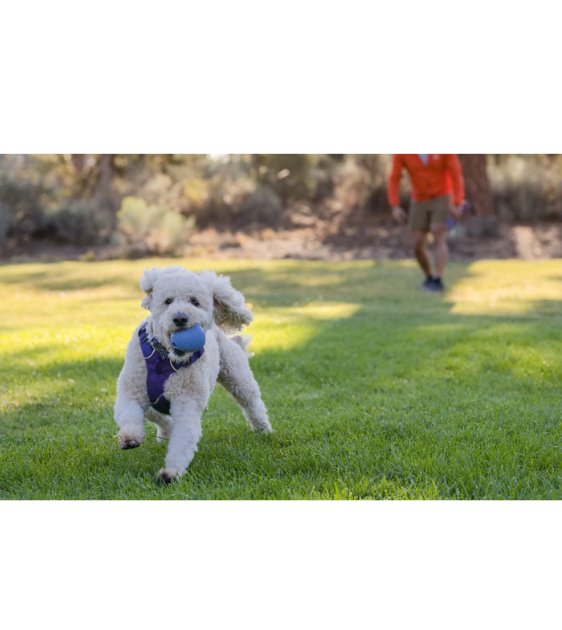 Ruffwear Huckama Interactive Rubber Throw Dog Toy Sage Green