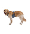 Ruffwear Load Up™ Safety Dog Car Harness (Slate Blue) - Good Dog People™