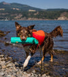 Ruffwear Lunker™ Interactive Floating Throw Dog Toy (Aurora Teal) - Good Dog People™