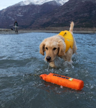 Ruffwear Lunker™ Interactive Floating Throw Dog Toy (Campfire Orange) - Good Dog People™