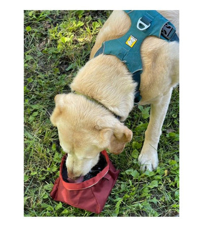 Ruffwear Quencher™ Collapsible Food & Water (Huckleberry Blue) Dog Bowl - Good Dog People™