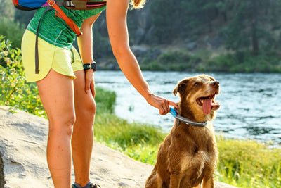 Ruffwear Quick Draw™ Reflective Adjustable Collar Dog Leash - Good Dog People™