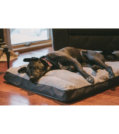 Ruffwear Restcycle™ Home & Outdoor Dog Bed With Handle (Cloudburst Gray) - Good Dog People™