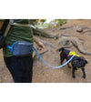 Ruffwear Stash Bag Plus™ Poop Bag Dispenser (Aurora Teal) - Good Dog People™