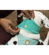 Ruffwear Swamp Cooler™ Cooling Dog Neck Gaiter (Salmon Pink / Blue Mist) - Good Dog People™