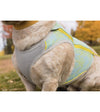 Ruffwear Swamp Cooler Zip™ Lightweight Cooling Dog Vest (Aurora Teal) - Good Dog People™