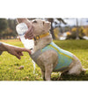 Ruffwear Swamp Cooler Zip™ Lightweight Cooling Dog Vest (Salmon Pink) - Good Dog People™