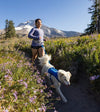 Ruffwear Trail Runner™ Running Belt (Lichen Green) - Good Dog People™