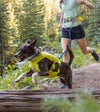 Ruffwear Trail Runner™ Running Belt (Lichen Green) - Good Dog People™