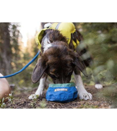 Ruffwear Trail Runner™ Ultralight & Packable Dog Bowl (Blue Pool) - Good Dog People™