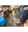Ruffwear Treat Trader™ Dog Treat Pouch (Blue Pool) - Good Dog People™