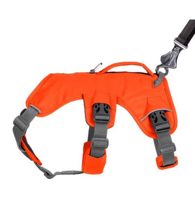 Ruffwear Web Master™ Dog Harness with Handle (Blaze Orange) - Good Dog People™