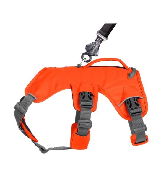 Web Master™ Dog Harness with Handle