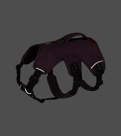Ruffwear Web Master™ Dog Harness with Handle (Purple Rain) - Good Dog People™