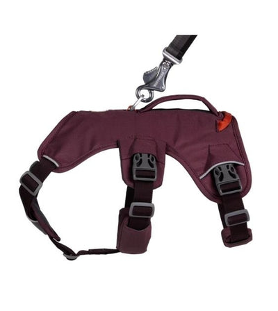Ruffwear Web Master™ Dog Harness with Handle (Purple Rain) - Good Dog People™