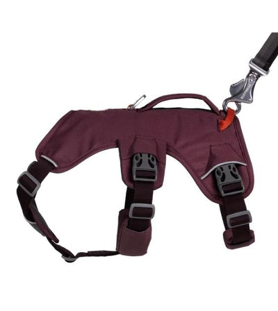 Ruffwear Web Master™ Dog Harness with Handle (Purple Rain) - Good Dog People™