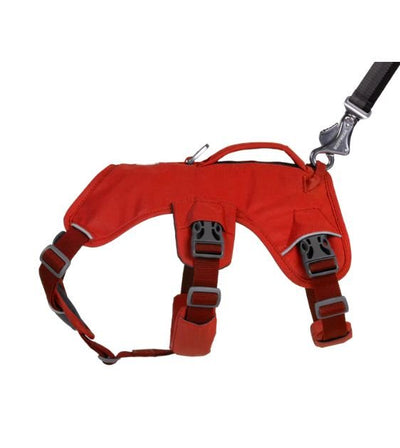 Ruffwear Web Master™ Dog Harness with Handle (Red Sumac) - Good Dog People™