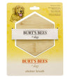 Burt's Bees Palm Slicker Brush For Dogs