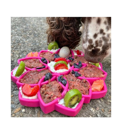 SodaPup Enrichment Feeding Tray For Dogs (Green Mandala) - Good Dog People™