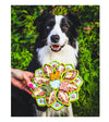 SodaPup Enrichment Feeding Tray For Dogs (Green Mandala) - Good Dog People™