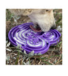 SodaPup Enrichment Feeding Tray For Dogs (Green Water Frog) - Good Dog People™