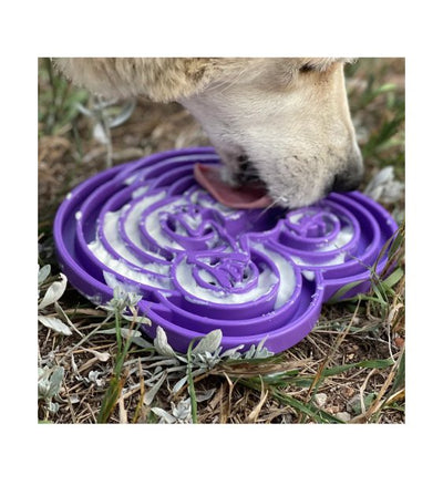 SodaPup Enrichment Feeding Tray For Dogs (Green Water Frog) - Good Dog People™