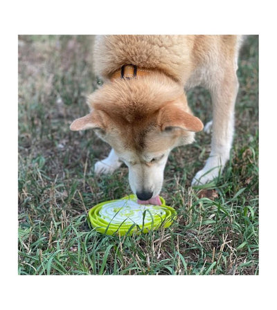 SodaPup Enrichment Feeding Tray For Dogs (Purple Water Frog) - Good Dog People™