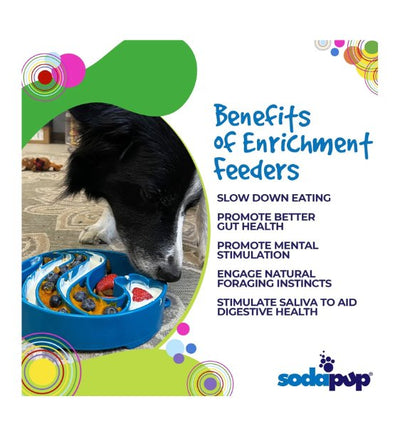 SodaPup Enrichment Slow Feeder Bowl For Dogs (Round / Blue Wave) - Good Dog People™