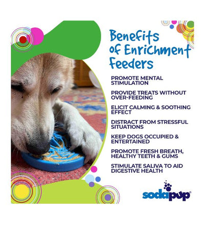 SodaPup Ultra-Durable Enrichment Snacking Coin For Dogs (Round / Blue Air) - Good Dog People™