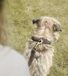 Sophie Allport Woof Leather Dog Collar - Good Dog People™