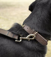 Sophie Allport Woof Leather Dog Collar - Good Dog People™