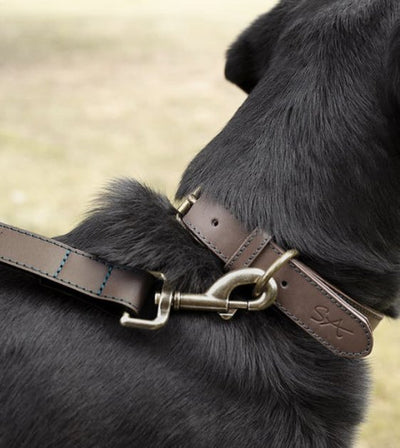 Sophie Allport Woof Leather Dog Collar - Good Dog People™