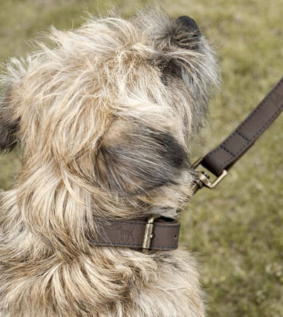 Sophie Allport Woof Leather Dog Collar - Good Dog People™