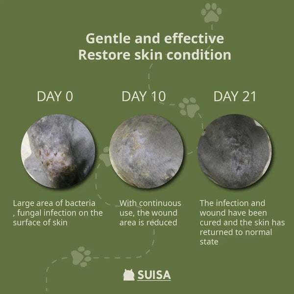 Suisa Antibacterial & Antiseptic Liquid Bandage For Dogs & Cats > Good