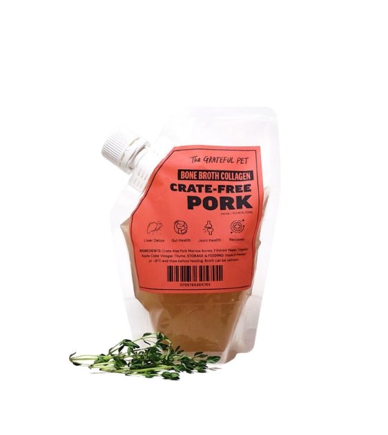 Pork broth 2024 for dogs