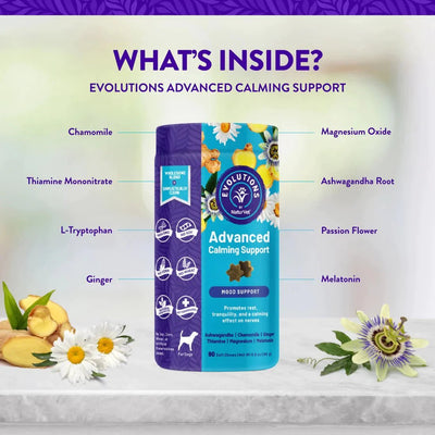 TRY & BUY: NaturVet Evolutions Advanced Calming Support Soft Chew Dog Supplement - Good Dog People™