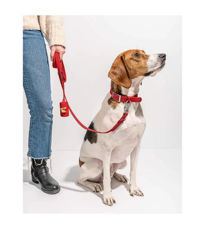 Wild One Anti-Odour Dog Collar (Spruce) - Good Dog People™