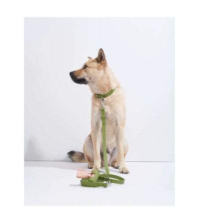 Wild One Anti-Odour Dog Collar (Spruce) - Good Dog People™