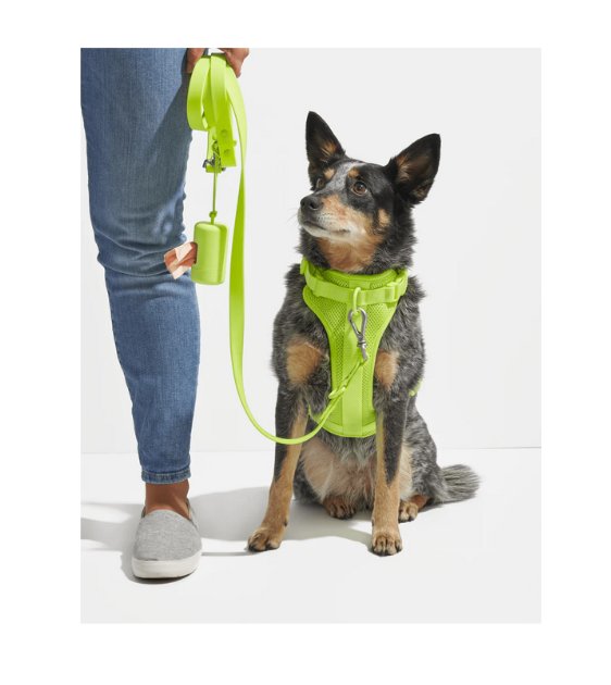 Wild One Water Resistant Dog Leash (Lilac) Good Dog People™