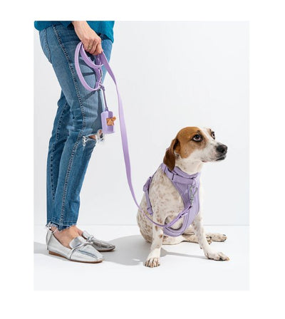 Wild One Comfort Dog Harness (Moss) - Good Dog People™