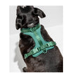 Wild One Comfort Dog Harness (Spruce) - Good Dog People™