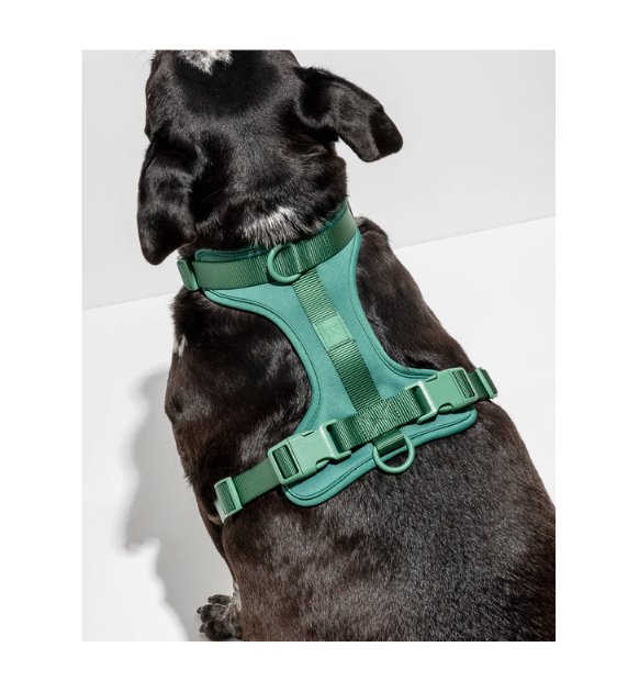 Wild One Comfort Dog Harness (Spruce) Good Dog People™