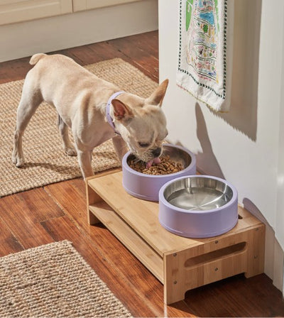 Wild One Nonslip Stainless Steel Dog Bowl (Lilac) - Good Dog People™