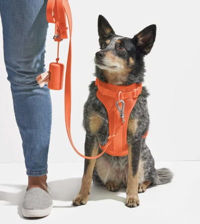 Wild One Poop Bag Carrier and Roll (Limited Edition - Blaze) - Good Dog People™